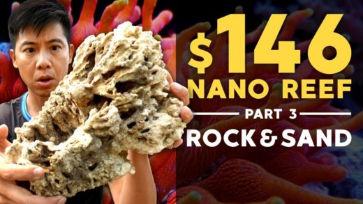 $146 Nano Reef: Background, Rock & Sand! (Part 3)