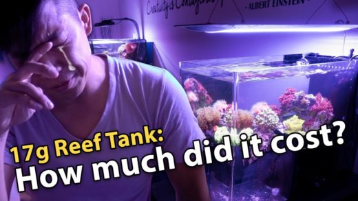 Cost of Setting Up a 17g Dropoff Reef Aquarium **$$$**