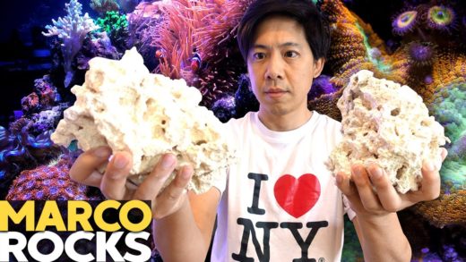 Comparing ROCKS (BulkReefSupply vs. Marine Depot) & Aquascaping! (135g - 4/12/2020)