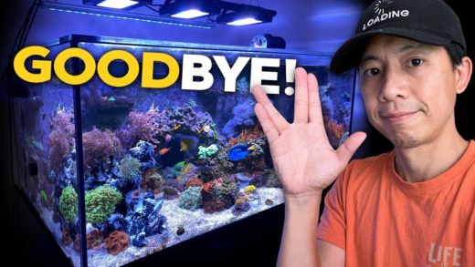 Goodbye for now. 🐠 Final 135g Update!