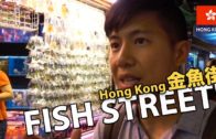 Fish & Corals Shopping in Hong Kong! (Goldfish Street 金魚街)