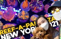 My Reef-a-Palooza NY 2021 Documentary!! (Corals, Clams, Fish, Puppy!)