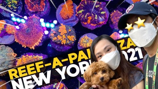 My Reef-a-Palooza NY 2021 Documentary!! (Corals, Clams, Fish, Puppy!)