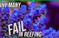 An overlooked, insidious cause of failure in reefing.