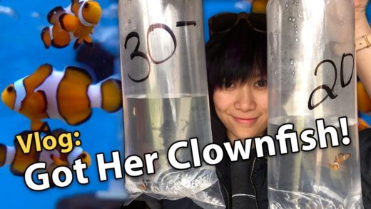 Vlog: Got Her Clownfish!! (12/26/2016)