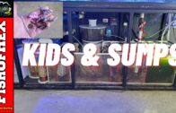 If You Have Kids And A Sump Watch This Video It Could Save Your Reef Tank