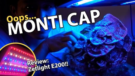 I BROKE MY MONTI CAP!!! Best Refugium Light of 2018? (Zetlight E200)