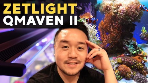 Zetlight QMaven II Review + 45g Tank Update! (45g - 12/20/2018)