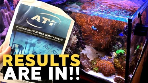 Copper in my Reef Tank?! 😱 (45g - 9/29/2019)