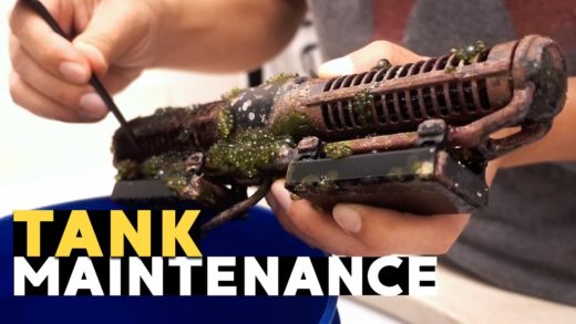 Secret to RBTA Split = Tank Maintenance? (45g - 10/13/2019)