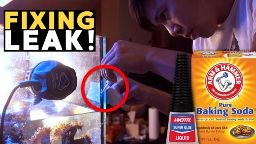 How to fix leaking full aquarium (Super Glue & Baking Soda vs Silicone) - 45g TANK LEAKED!! 😱