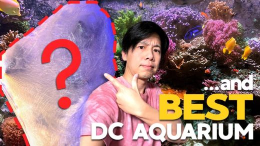 BEST Aquarium in DC!! / Re-scaping 135g / Fragging SPS & Trading!