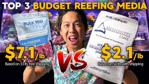 Budget Reefing: Cheap Kalkwasser, Nitrate dosing, CO2 Scrubber media!!