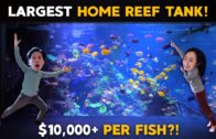 Largest Reef Tank in the UNIVERSE!!%#@$?