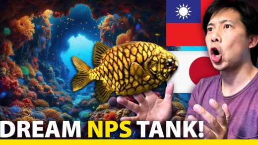 BEST NPS Tank I have ever seen!! (Sunshine Aquarium @ Tokyo, Japan)